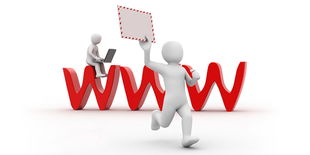 网站设计制作与开发入门指南 网奇公司的客户服务之道